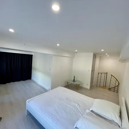 Loft ravissant à 5 mn de la Basilique Notre Dame de Fourvière Apartamento Lyon Exterior foto